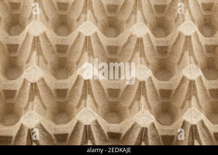 empty formed cardboard egg tray - closeup with edge-to-edge sharpness. Stock Photo