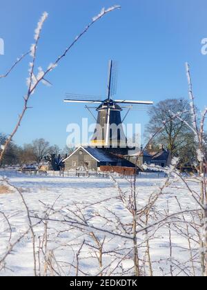 Pelmolen Ter Horst, Rijssen Netherlands during snowy weather snow covered wind mill in the netherlands Stock Photo