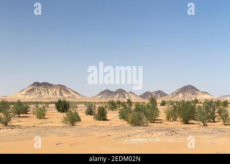 Black desert, western libyan desert, Egypt Stock Photo