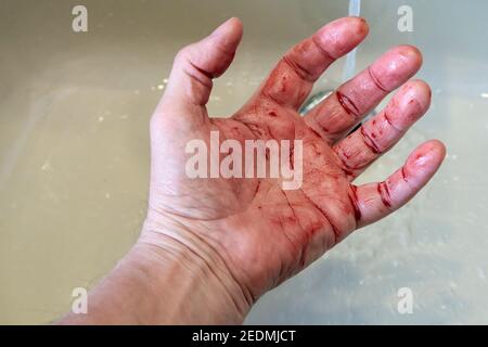 Bloody hand in the bathroom sink, bleeding, criminal and suicide concept Stock Photo