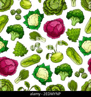 Seamless pattern of cabbage vegetables white and red cabbage, romanesco broccoli, kohlrabi and brussels sprouts, cauliflower, chinese cabbage napa or Stock Vector