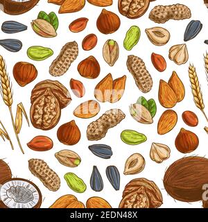 Nut, seed and cereal seamless pattern of peanut, almond, pistachio, walnut, hazelnut, tropical coconut, wheat and sunflower seed. Vegetarian dessert, Stock Vector