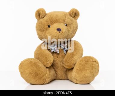 Brown furry teddy bear isolated on a white background. Stock Photo