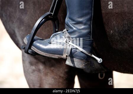 28.02.2020, Doha, , Qatar - Riding boots with spur in a stirrup.. 00S200228D075CAROEX.JPG [MODEL RELEASE: NO, PROPERTY RELEASE: NO (c) caro images / S Stock Photo