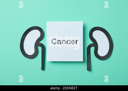 Paper kidneys and the text Cancer on a mint background, kidney cancer awareness concept Stock Photo