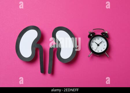 Paper kidneys and an alarm clock on a pink background, time to check kidney health concept Stock Photo