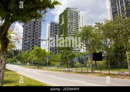 Street at Singapore with tall buildings in green grass and leaves Stock Photo