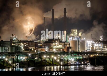 08.01.2021, Leverkusen, North Rhine-Westphalia, Germany - Bayer Chempark Leverkusen, the Bayer Cross logo of the company shines on the Bayer site in L Stock Photo