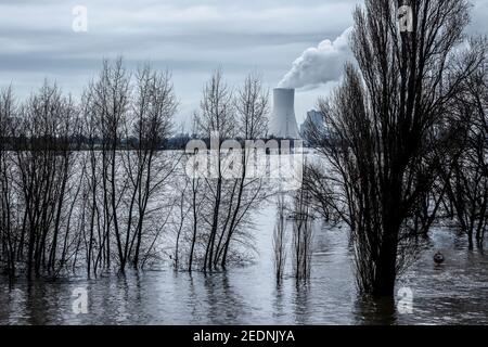 03.02.2021, Duisburg, North Rhine-Westphalia, Germany - Flooding on the Rhine, trees are under water on the dike in the Marxloh district, in the back Stock Photo