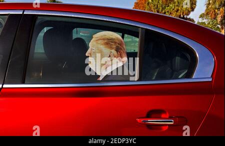 An unflattering profile photograph of former U.S. President Donald J. Trump appears in the window of the rear passenger seat in a red four-door car in Florida, USA. The image is a life-size vinyl decal pressed to the outside of the glass window that was used to grab the attention of pedestrians or people in passing cars. Such stickers with life-size head-and-shoulder portraits of Trump usually were displayed to show support for the controversial politician. He was disgraced by being impeached twice during his single four-year term as the 45th American president from January 20, 2017-2021.