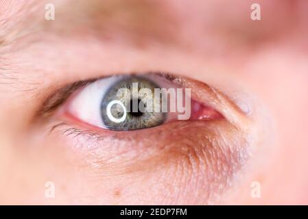 human blue eye, macro photo. view precise and straight to the target. concept of concentrate vision Stock Photo