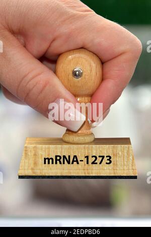 woman's hand with stamp lettering mRNA-1273, vaccine of company Moderna, Germany Stock Photo
