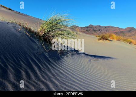 sand dunes in the Bay of Monsul, San José, Spain, Andalusia, Parque Natural de Cabo de Gata-Nijar Stock Photo