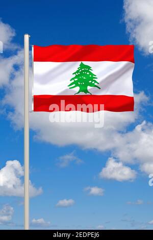 Cedar of Lebanon, Lebanon cedar (Cedrus libani, Cedrus libanotica), flag of Libanon against blue cloudy sky, Cyprus Stock Photo
