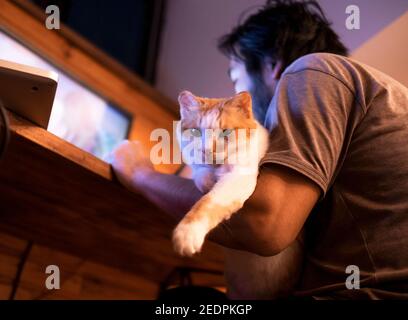 Cute cat lying on the man's hand Stock Photo