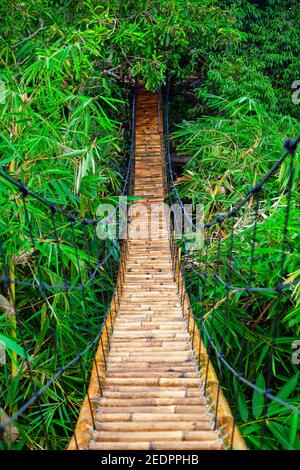 Traditional construction suspension pedestrian bridge made from natural bamboo. Cable bridge crossing river in tropical jungle. Stock Photo