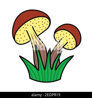 Two forest mushrooms with a brown cap, white mushroom with grass. Primitive childish vector illustration for design Stock Vector
