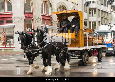 Heineken horse drawn Beer Wagon making deliveries in Amsterdam, The ...