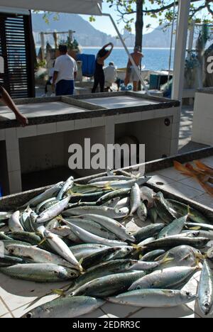 Fresh fish caught in Rio de Janeiro, fishmongers in Copacabana Stock Photo