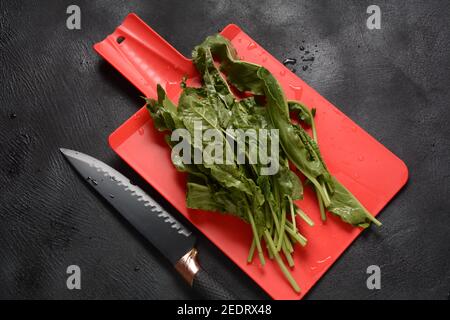 Fresh green sorrel on red cutting kitchen board. Cooking or preparing food concept. Stock Photo