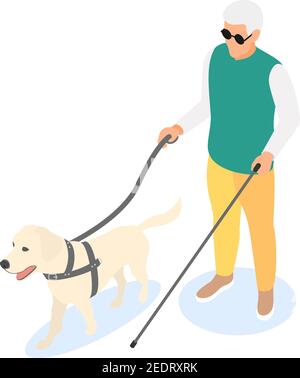 Blind elderly man with walking stick and guide dog isolated on white background. Flat vector isometric illustration. Stock Vector