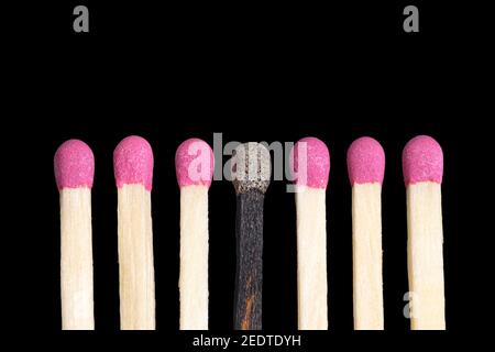 One burnt match among six new matches in a row isolated on black background Stock Photo