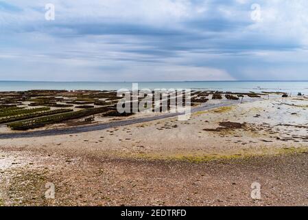 Oyster farms with growing oysters at low tide a cloudy day of summer in the port of Cancale, Brittany, France. Mont Saint-Michel on background Stock Photo