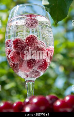 Red cherry berries in a glass with lemonade on the background of a green garden. The concept of healthy vitamin berries and fruits Stock Photo