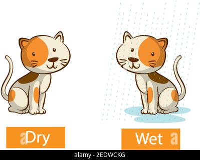 Opposite adjectives words with dry and wet illustration Stock Vector ...