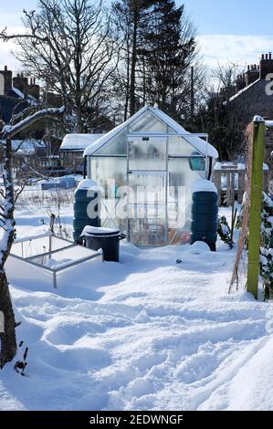 allotment greenhouse covered in winter snow, melton constable, north norfolk, england Stock Photo