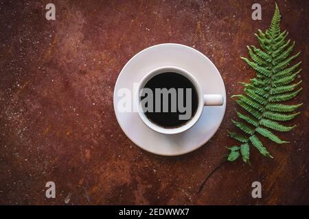 Top view of hot americano coffee in white coffee cup and green fern leaves on brown cement background with copy space Stock Photo