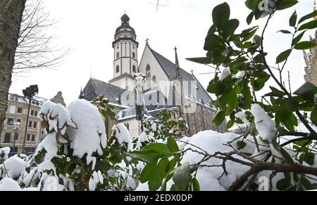 Leipzig, Germany. 10th Feb, 2021. The Thomaskirche in Leipzig at the Thomaskirchhof is surrounded by a lot of snow and high snow mountains in the current winter. Credit: Volkmar Heinz/dpa-Zentralbild/ZB/dpa/Alamy Live News Stock Photo