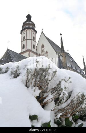 Leipzig, Germany. 10th Feb, 2021. The Thomaskirche in Leipzig at the Thomaskirchhof is surrounded by a lot of snow and high snow mountains in the current winter. Credit: Volkmar Heinz/dpa-Zentralbild/ZB/dpa/Alamy Live News Stock Photo