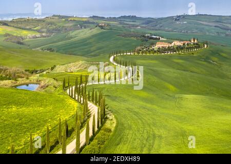 Aerial view of Meandering row of cypress trees in the hills of Tuscany, Italy, April. Stock Photo