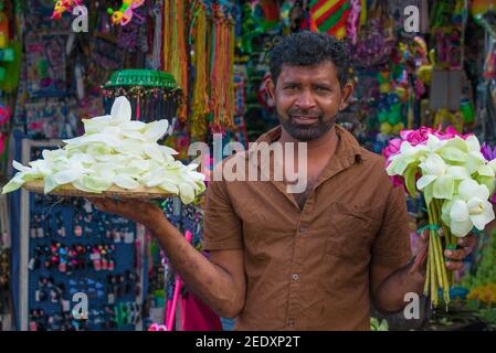 ANURADHAPURA, SRI LANKA - FEBRUARY 04, 2020: Street vendor offers flowers for religious offering to Buddha Stock Photo