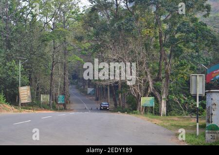 car parked in a long forest road Stock Photo