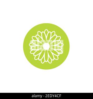 Green flat icon of chrysanthemum flower with white outline in green circle. Big Bloom with big oval petals and white core. Isolated on white. Vector i Stock Vector