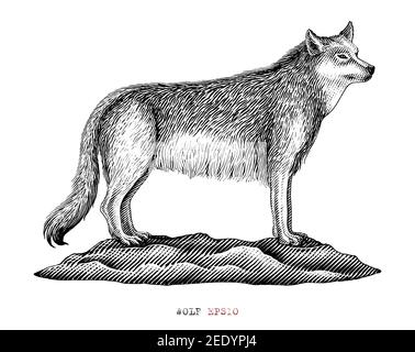 wolf black and white clipart