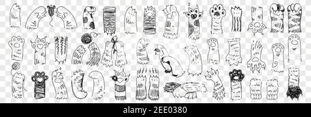 Animal paws with claws doodle set. Collection of hand drawn paws of cats and dogs of various shape with claws trying to catch mouse and playing isolated on transparent background in rows  Stock Vector