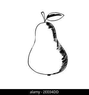 Outline illustration with pear on white background. Autumn and summer cute fruit. Food concept. Vector print for invitation, poster, card. Isolated Stock Vector