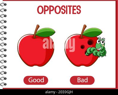 Opposite words for good and bad illustration Stock Vector Image & Art ...