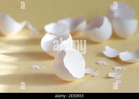 broken egg shell on yellow background with space for text, begging of life concept Stock Photo