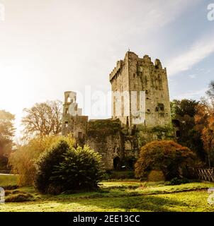 The Blarney castle, built in 1446, in Autumn, Cork, Ireland, Europe