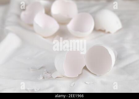 broken egg shell on white background with space for text, begging of life concept Stock Photo