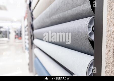Samples of different colorful rolls of wallpaper in shop, choice in row market. Stock Photo