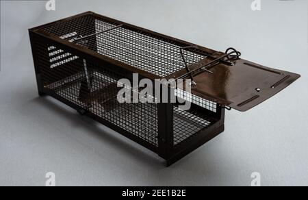 live mouse or rat trap humane pest control  , brown cage on light background . Stock Photo
