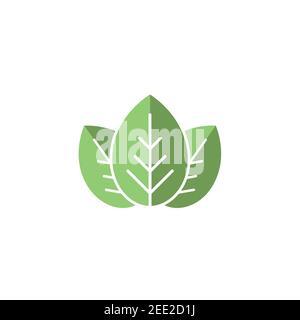 Three leaves eco icon. isolated on white. Vector illustration. Green ...