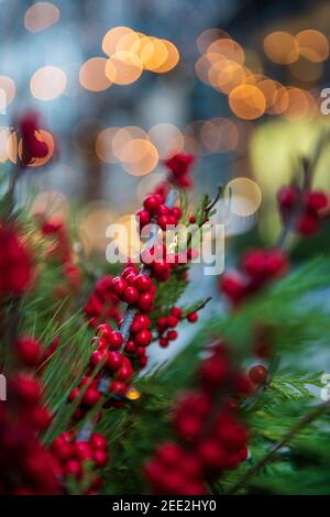 Beautiful red berries and pine boughs adorn holiday decorations at an outdoor shopping area in Washington DC. Stock Photo