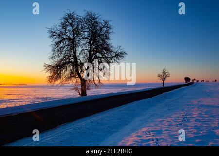 Empty road through snow-covered field after a blizzard at sunset. Clear sky, golden light. Idyllic rural scene. Stock Photo