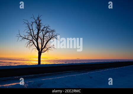Empty road through snow-covered field after a blizzard at sunset. Clear sky, golden light. Idyllic rural scene. Stock Photo